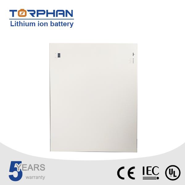 Lityum temir fosfat xujayrasi